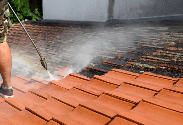 Best Roof Pressure Washing  in Toccoa, GA