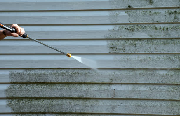 Best House Pressure Washing  in Toccoa, GA