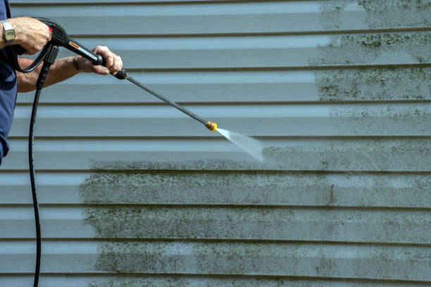 Best Local Pressure Washing Services  in Toccoa, GA