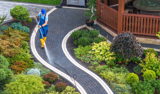 Best Best Pressure Washing Companies  in Toccoa, GA